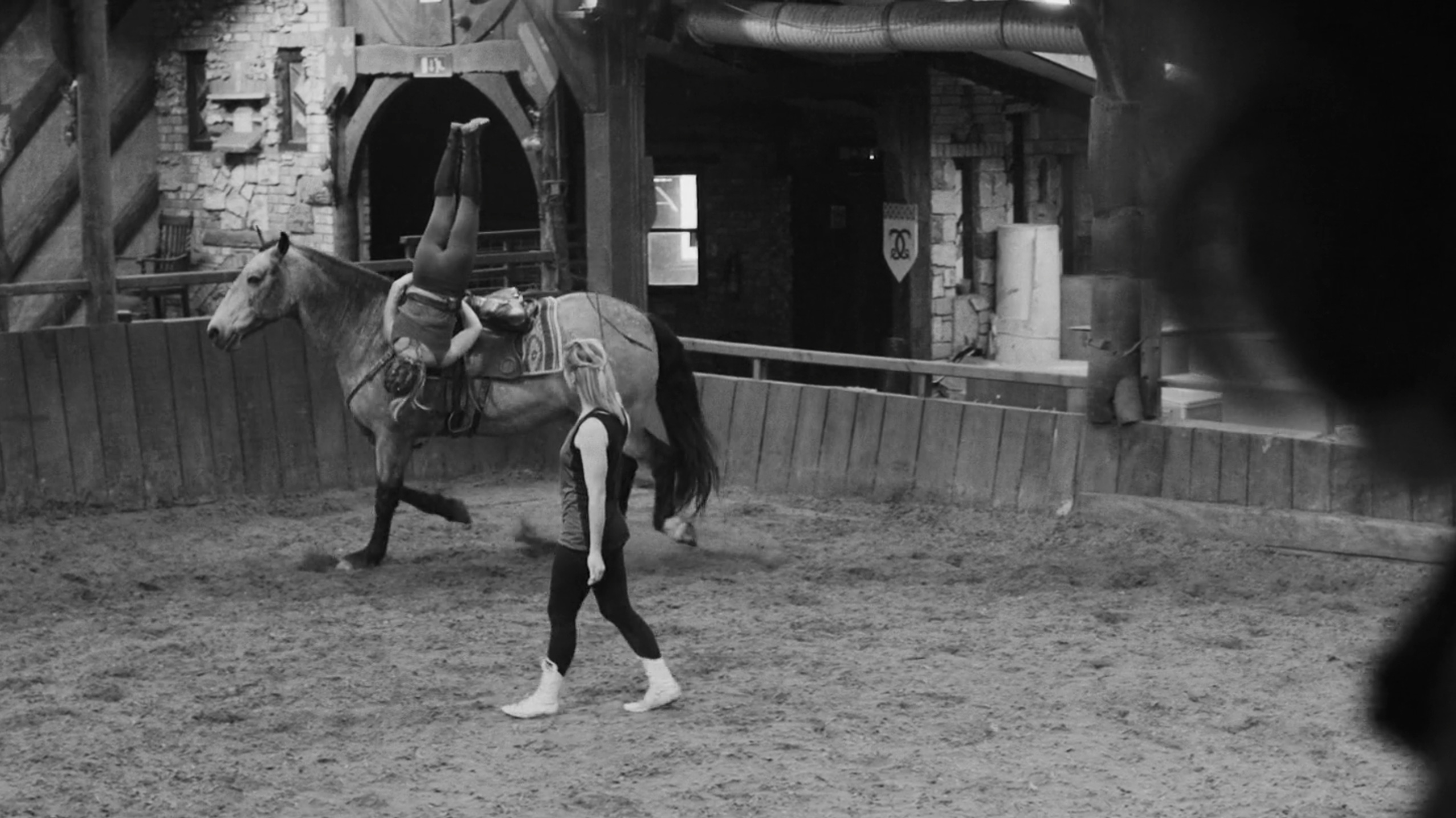 An athletic horse stunt performer doing a handstand on the side of their horse as it rides around an indoor arena in black and white.